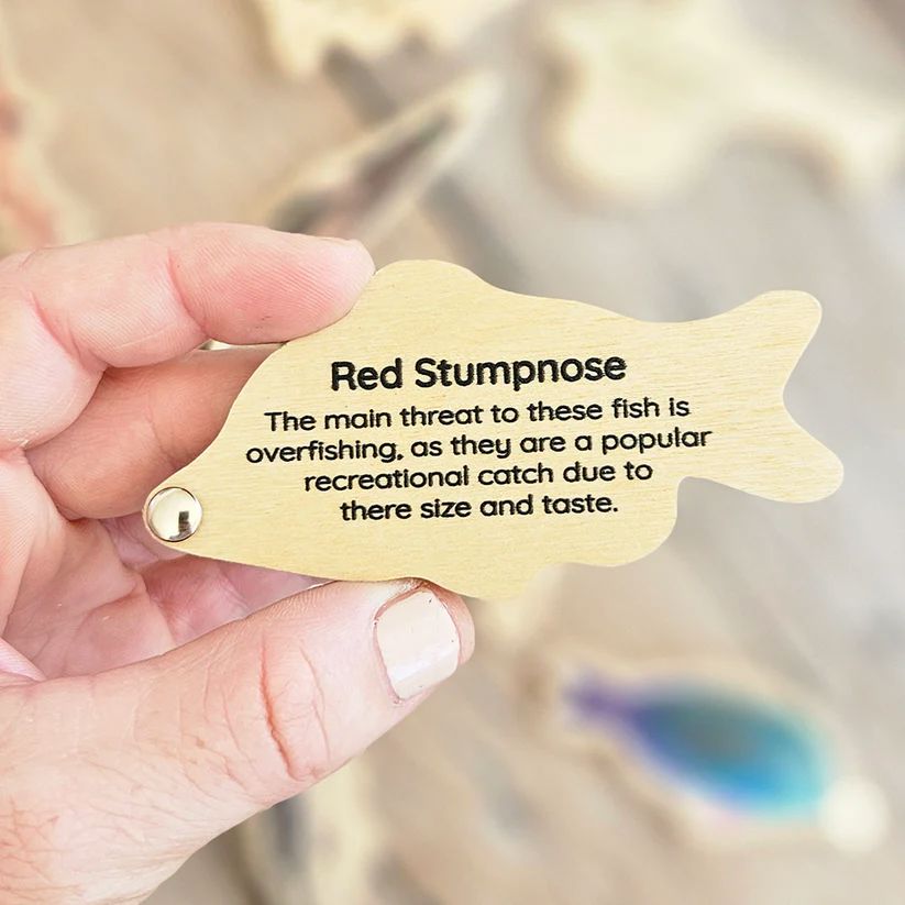 Envirokid Wooden Magnetic Fishing Game Toys Envirokid