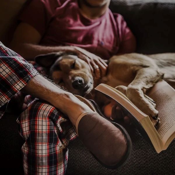 Groundcover Wool Stokkie - Brown Slippers Groundcover