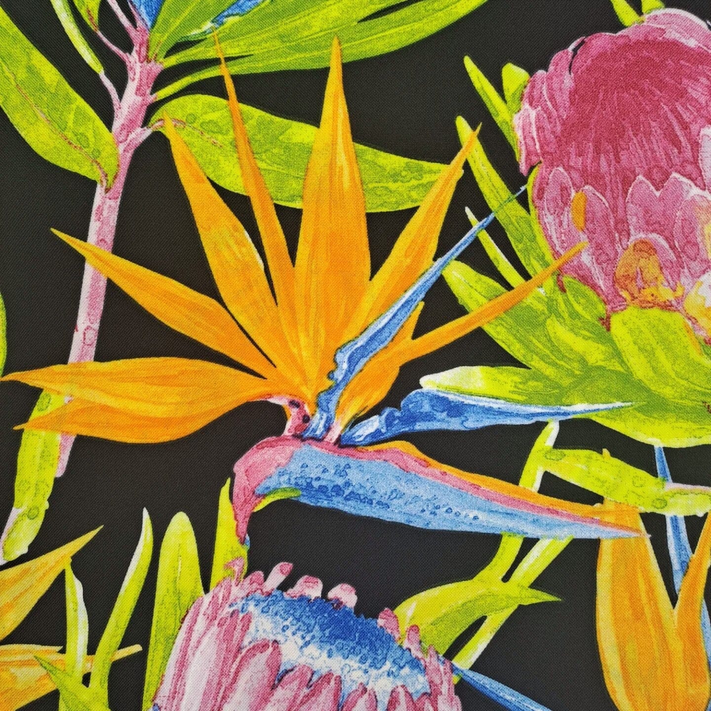 TraDishNal Protea Table Cloth Tableware TraDishNal 4 seater Black Strelitzia 